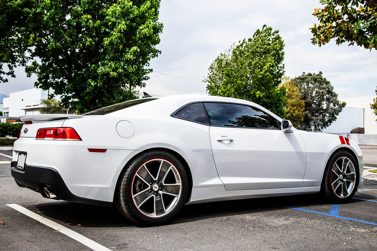 ARK 2010-2015 Chevrolet Camaro GT-S Lowering Springs (Clearance Item)