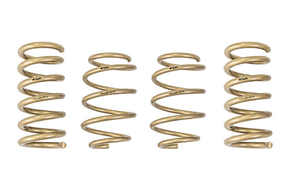 ARK 2015-2021 Ford Mustang GT-S Lowering Springs (Clearance Item)