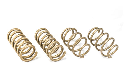 ARK 2015-2021 Ford Mustang GT-S Lowering Springs