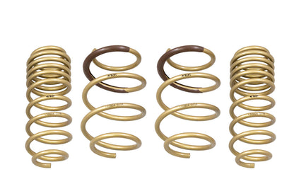 ARK 2016-2021 Honda Civic Hatchback | Coupe | Sedan GT-S Lowering Springs
