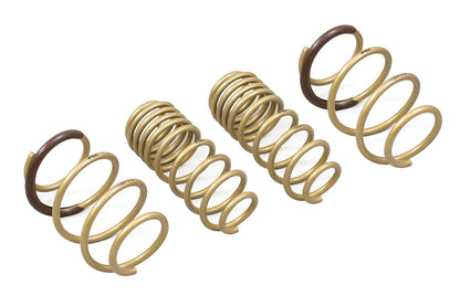 ARK 2016-2021 Honda Civic Hatchback | Coupe | Sedan GT-S Lowering Springs