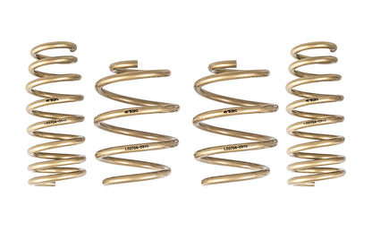ARK 2010-2016 Hyundai Genesis Coupe GT-S Lowering Springs