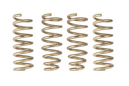 ARK 2009-2013 Hyundai Genesis Sedan GT-S Lowering Springs