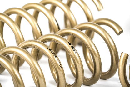 ARK 2009-2013 Hyundai Genesis Sedan GT-S Lowering Springs