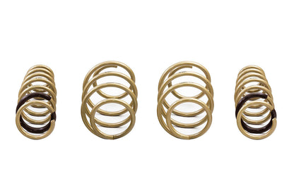 ARK 2021-2025 Kia K5 GT-S Lowering Springs