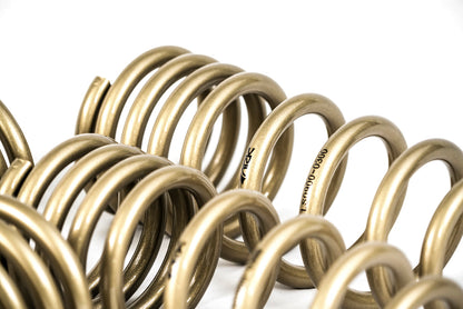 ARK 2003-2008 Nissan 350Z GT-S Lowering Springs