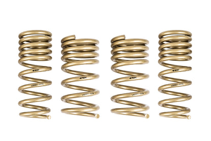 ARK 2009-2020 Nissan 370Z GT-S Lowering Springs