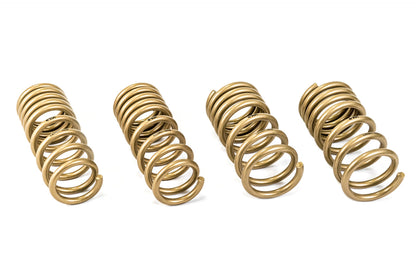 ARK 2009-2020 Nissan 370Z GT-S Lowering Springs