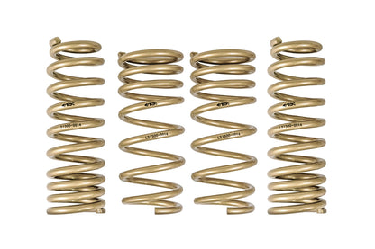 ARK 2014-2020 Lexus IS200t | IS250 | IS300 | IS350 RWD GT-S Lowering Springs