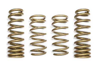ARK 2021-2025 Lexus IS300 | IS350 RWD GT-S Lowering Springs