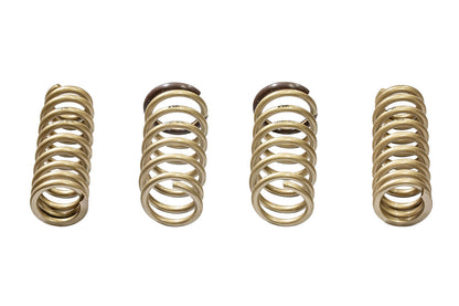 ARK 2015-2025 Lexus RC200t | RC300 RWD | RC350 RWD GT-S Lowering Springs