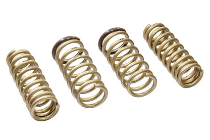ARK 2015-2025 Lexus RC200t | RC300 RWD | RC350 RWD GT-S Lowering Springs