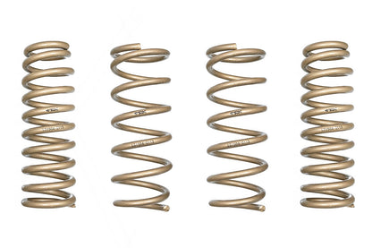 ARK 2013-2020 Lexus GS350 RWD GT-S Lowering Springs