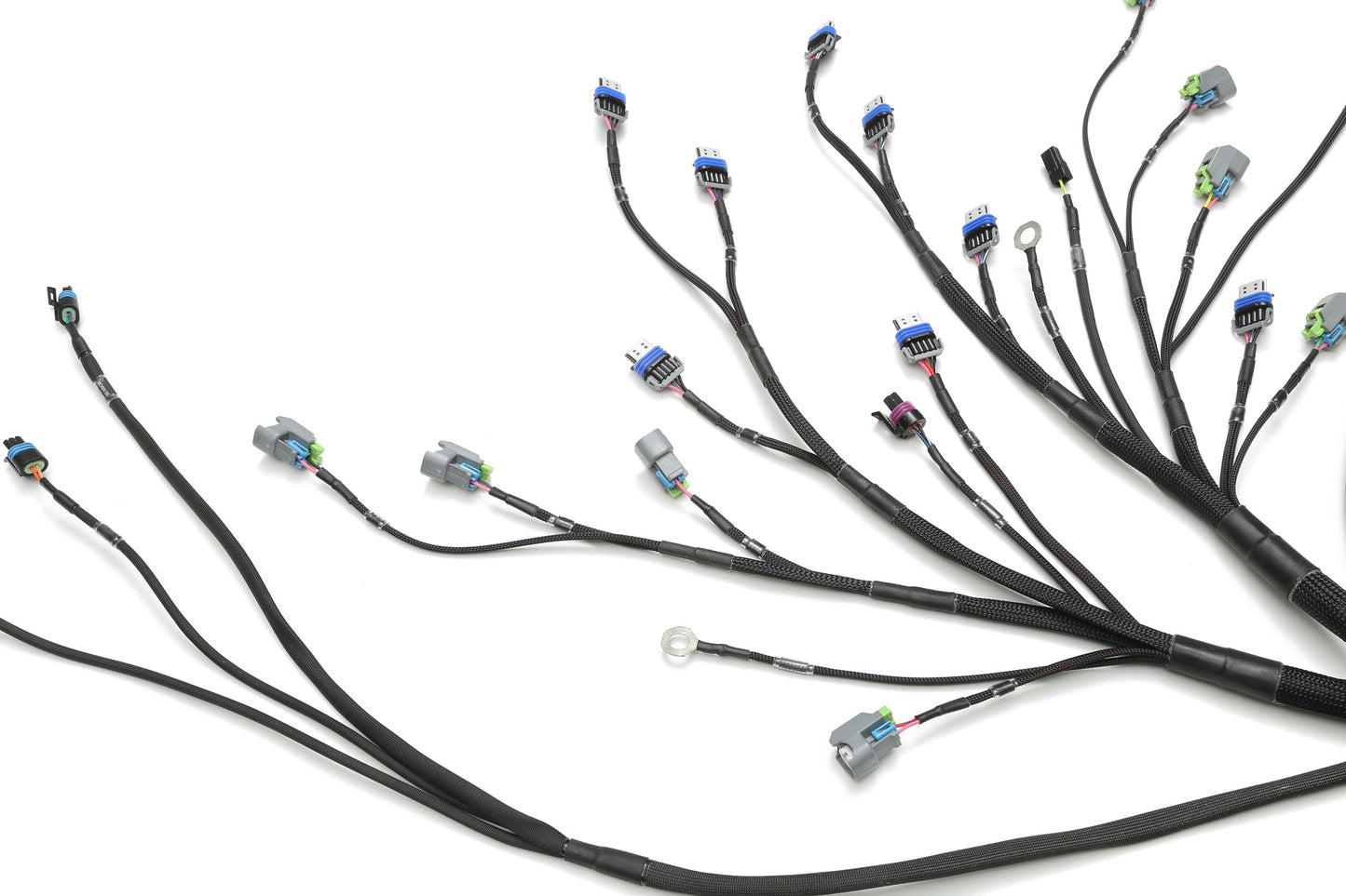 Wiring Specialties LS3 Harness Nissan Skyline R34 25GT PRO Series WRS-PROLS3-R34-25GT