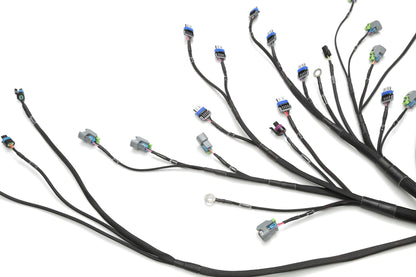 Wiring Specialties LS3 Harness Nissan Skyline R34 25GT PRO Series WRS-PROLS3-R34-25GT