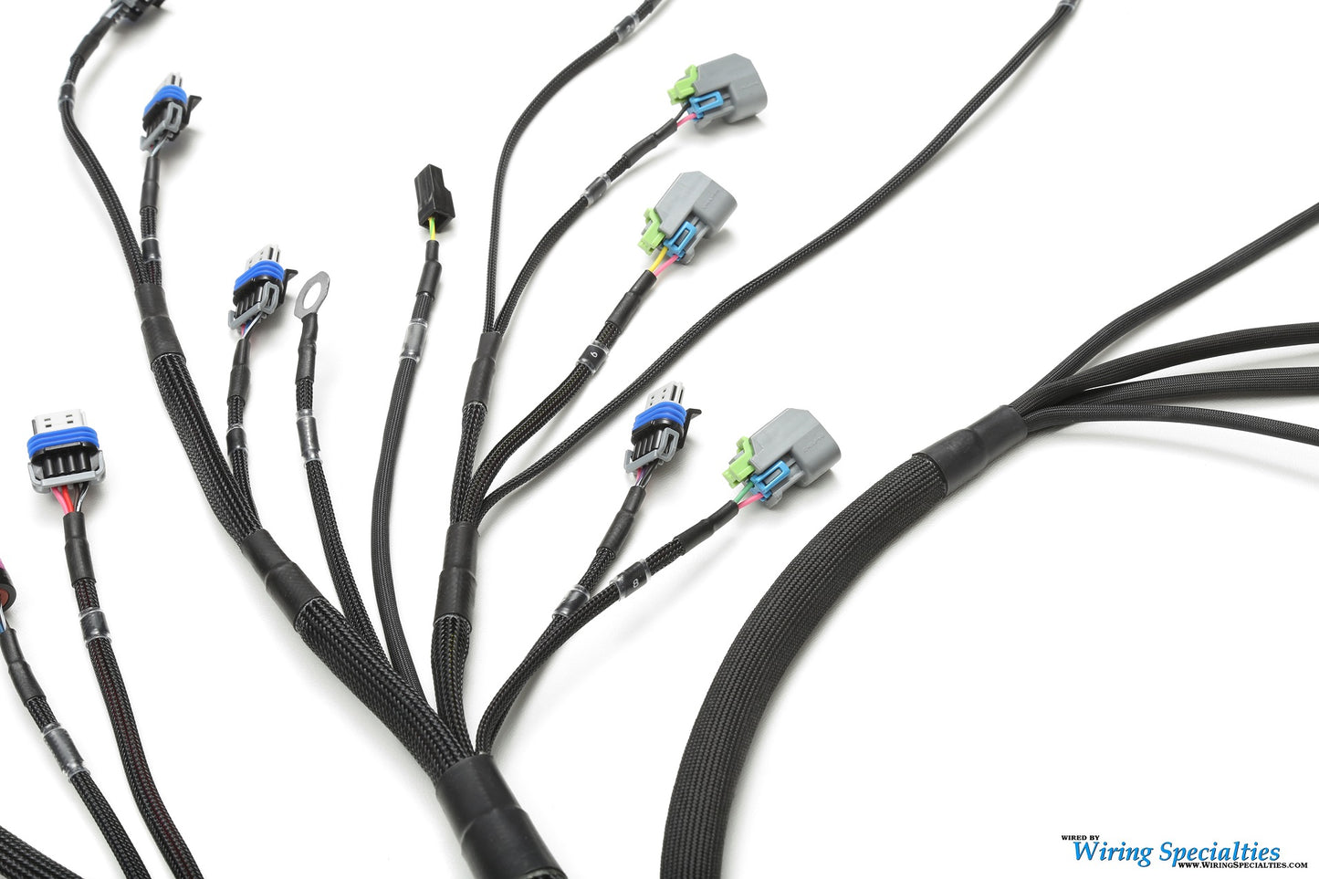 Wiring Specialties LS3 Harness Nissan Skyline R34 25GT PRO Series WRS-PROLS3-R34-25GT