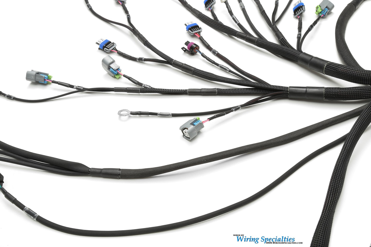 Wiring Specialties LS3 Harness Nissan Skyline R34 25GT PRO Series WRS-PROLS3-R34-25GT