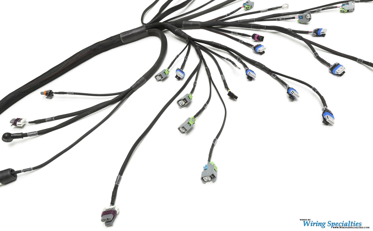 Wiring Specialties LS3 Harness Nissan Skyline R34 25GT PRO Series WRS-PROLS3-R34-25GT