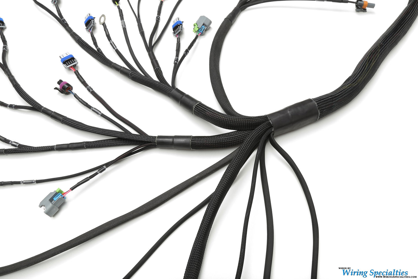 Wiring Specialties LS3 Harness Nissan Skyline R34 25GT PRO Series WRS-PROLS3-R34-25GT