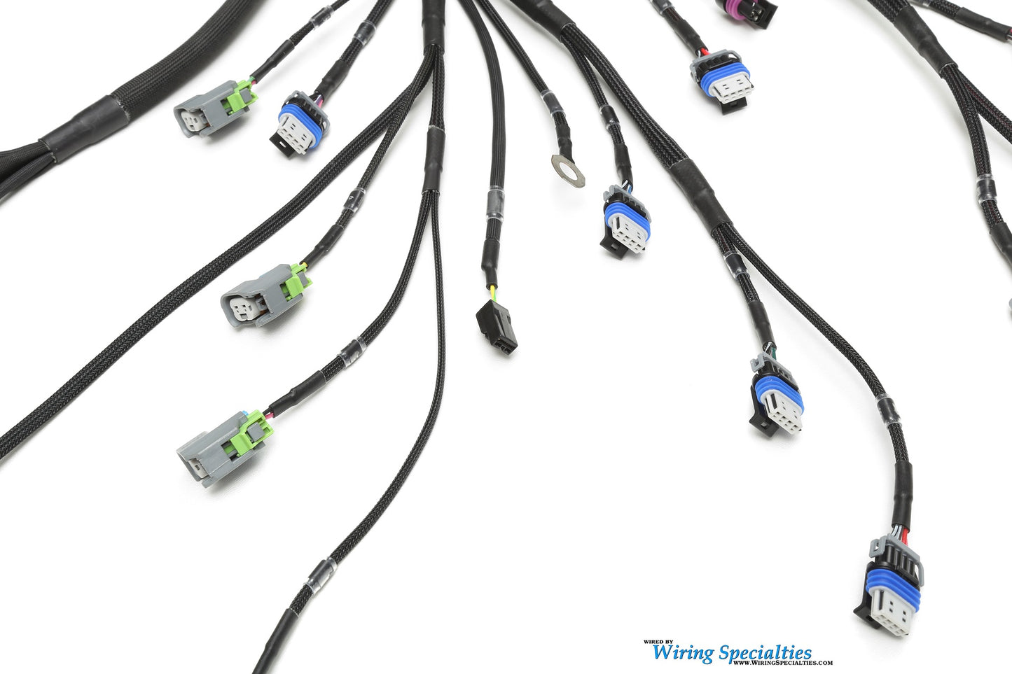 Wiring Specialties LS3 Harness Nissan Skyline R34 25GT PRO Series WRS-PROLS3-R34-25GT