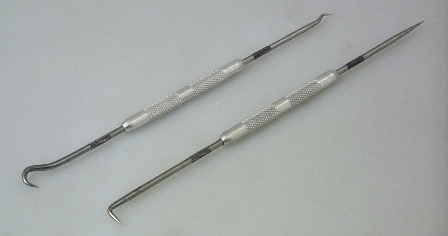 Lisle Scribe