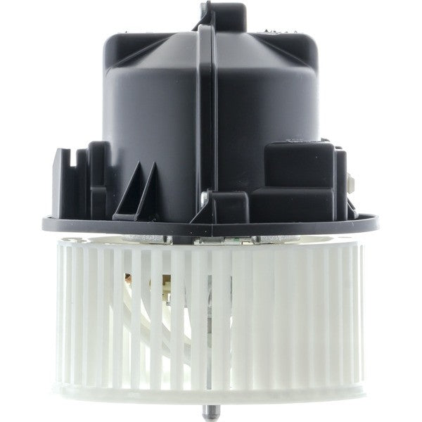 Mahle AB116000P
