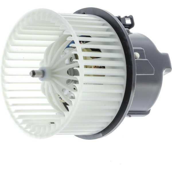 Mahle AB120000P