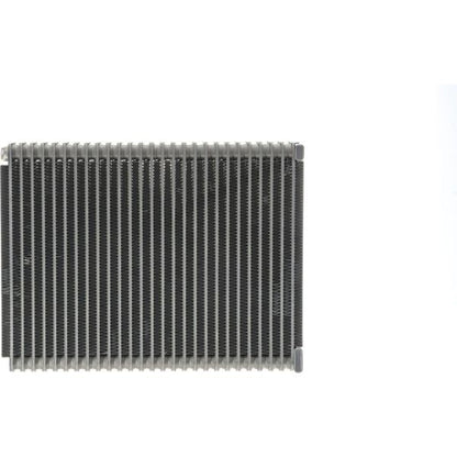 Mahle AE87000P