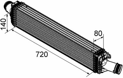 Mahle CI169000P