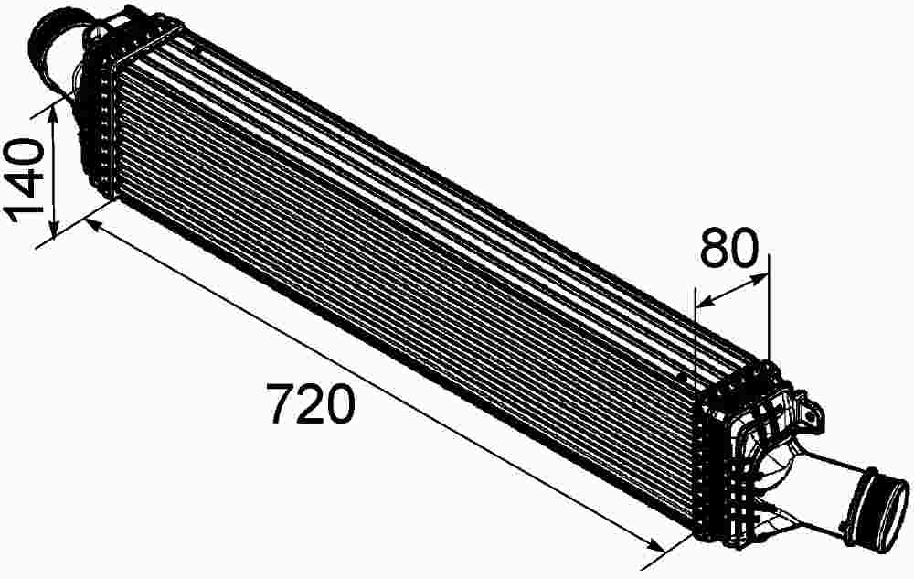 Mahle CI169000P