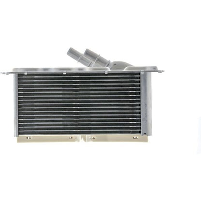 Mahle CI403000P
