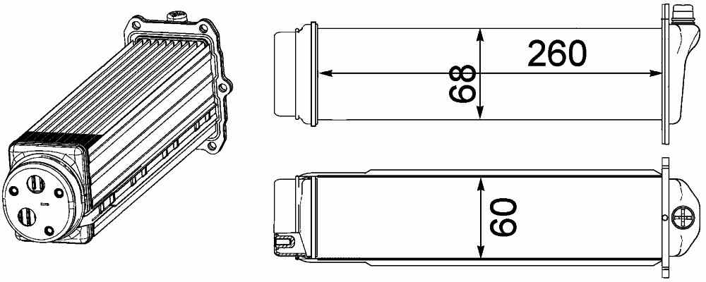 Mahle CI481000P
