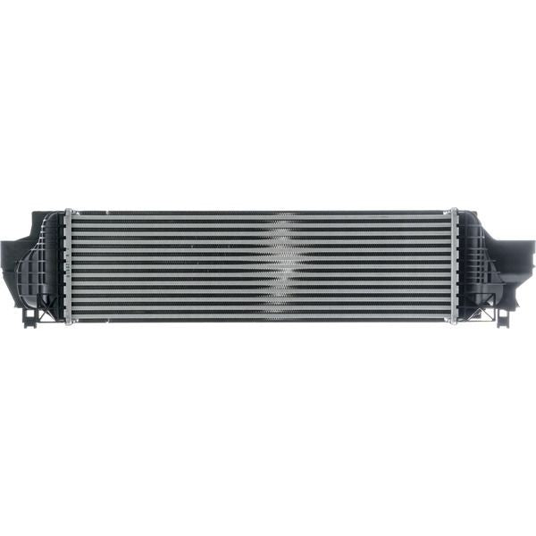 Mahle CI610000P image 6