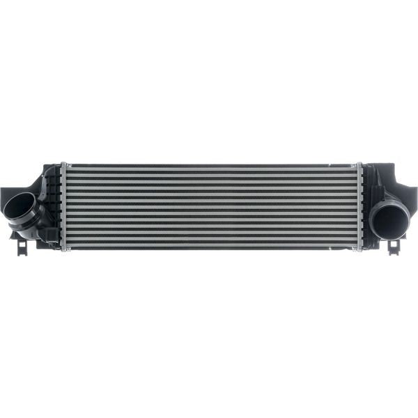 Mahle CI610000P main image