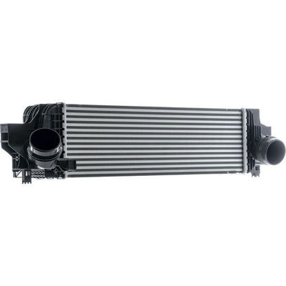 Mahle CI610000P image 3