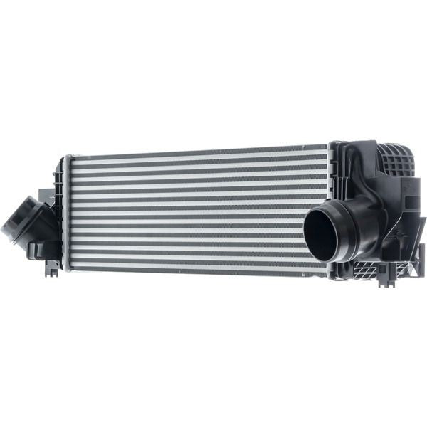 Mahle CI610000P image 4