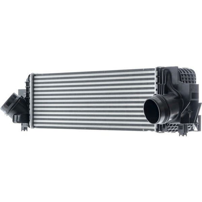 Mahle CI610000P image 4