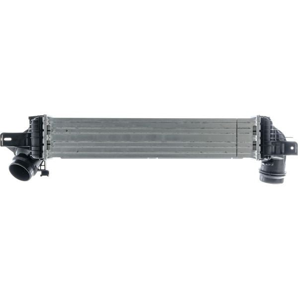 Mahle CI610000P image 2