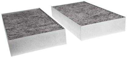 Mahle LAK295/S