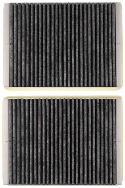 Mahle LAK73/S