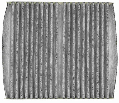 Mahle LAO119