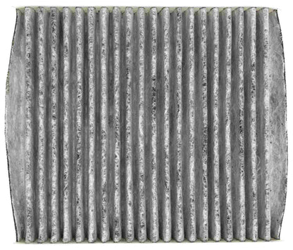 Mahle LAO293