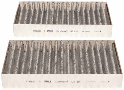 Mahle LAO295/S