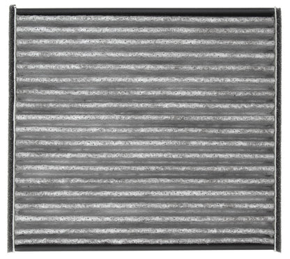 Mahle LAO490 main image
