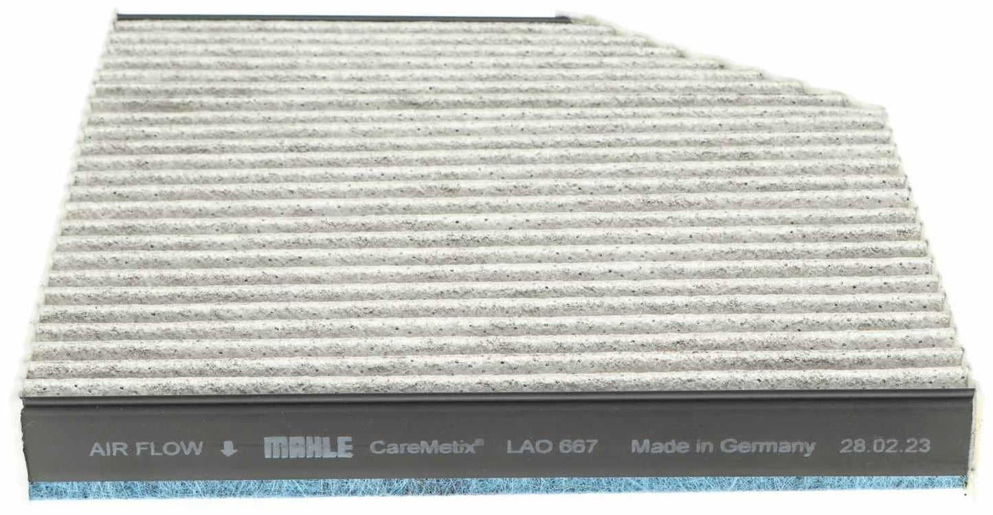 Mahle LAO667