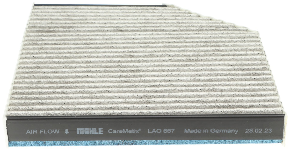 Mahle LAO667