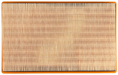 Clevite Air Filter