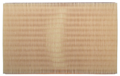 Clevite Air Filter