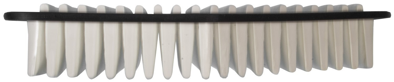 Mahle LX1613