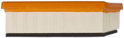 Mahle Air Filter